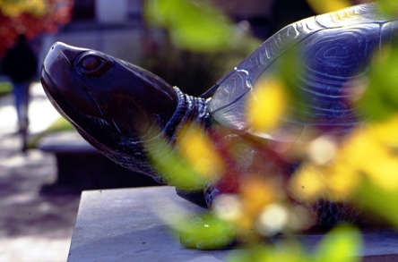 LectureCodeExamples/Week2/EventsCode/images/Testudo1.jpg